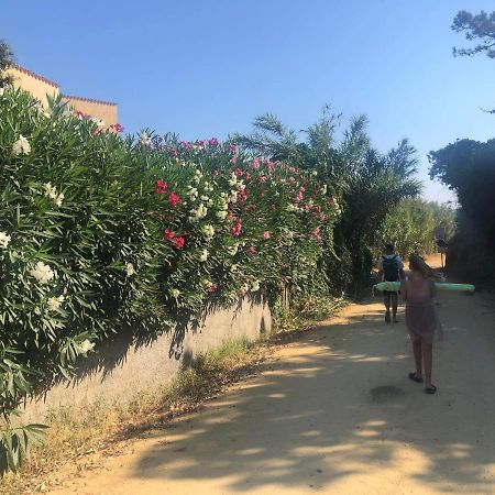 La Corse Tranquille 300M De La Plage Et Piscine Linguizzetta Ngoại thất bức ảnh