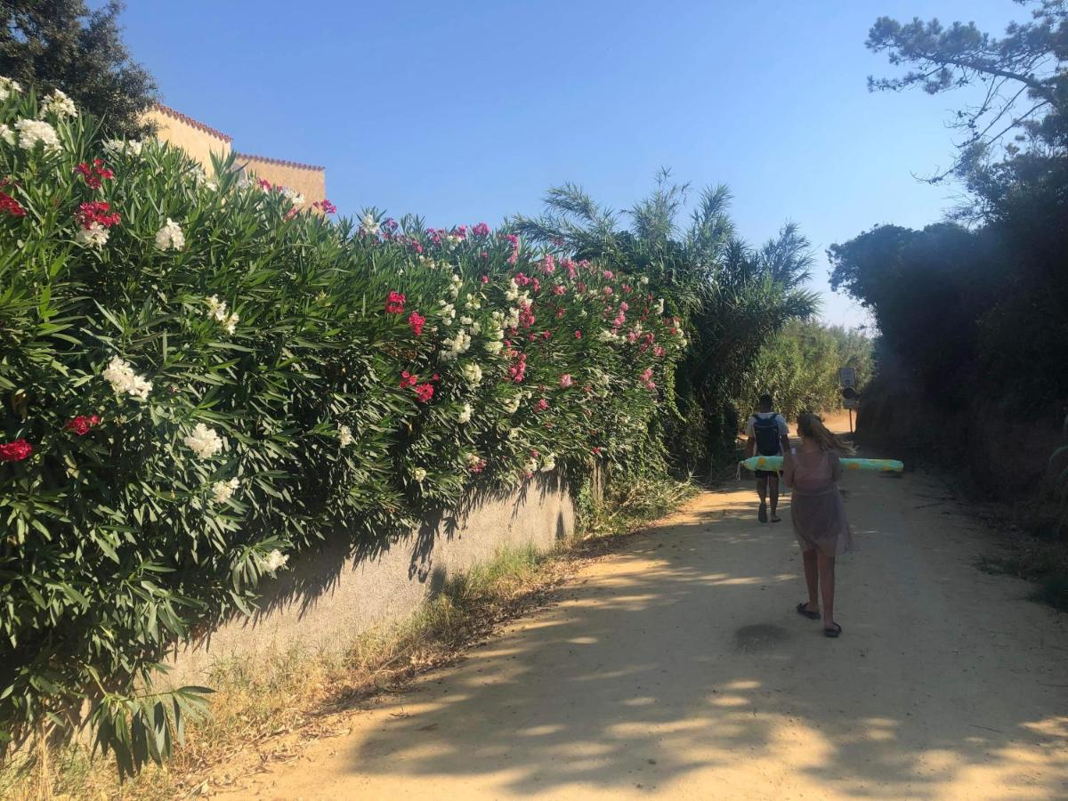La Corse Tranquille 300M De La Plage Et Piscine Linguizzetta Ngoại thất bức ảnh